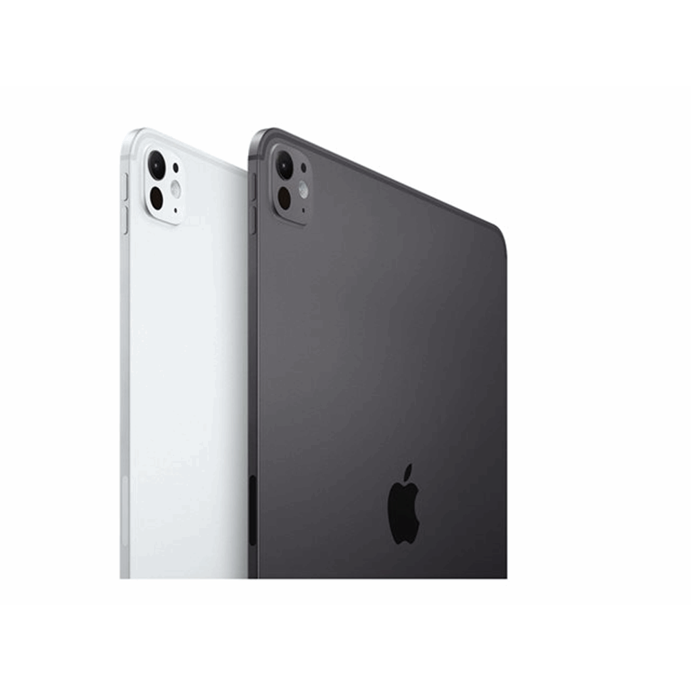 IPAD PRO 11 WIFI 256GB SP BLK-BNL