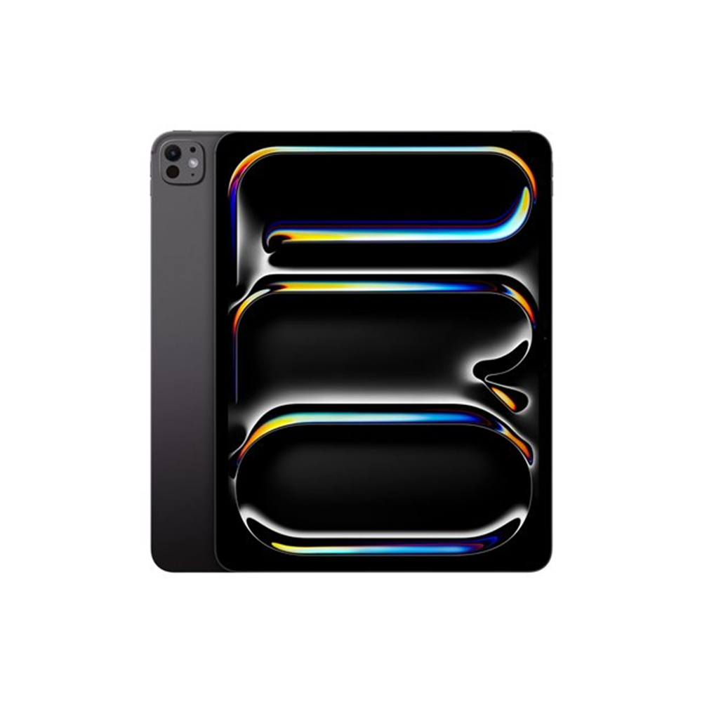 IPAD PRO 13 WF CL 1TB SP BLK-BNL