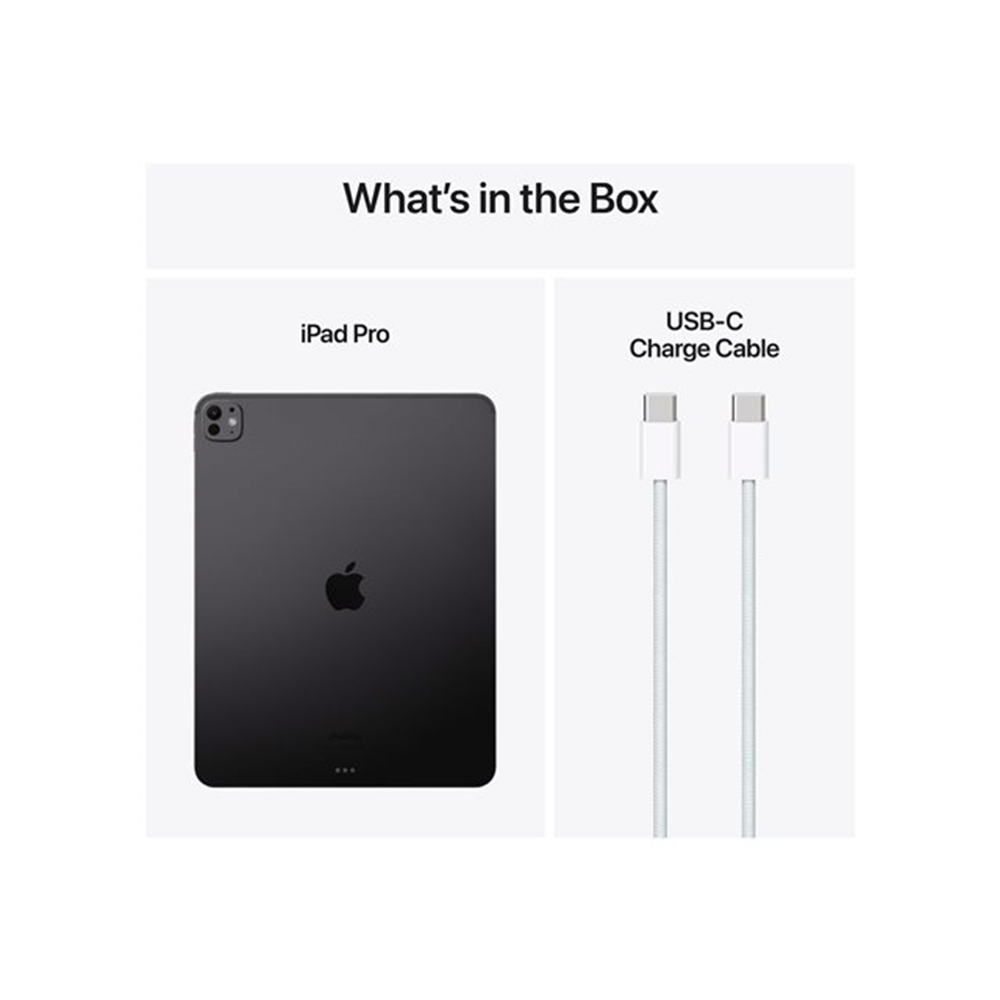 IPAD PRO 13 WF CL 1TB SP BLK-BNL