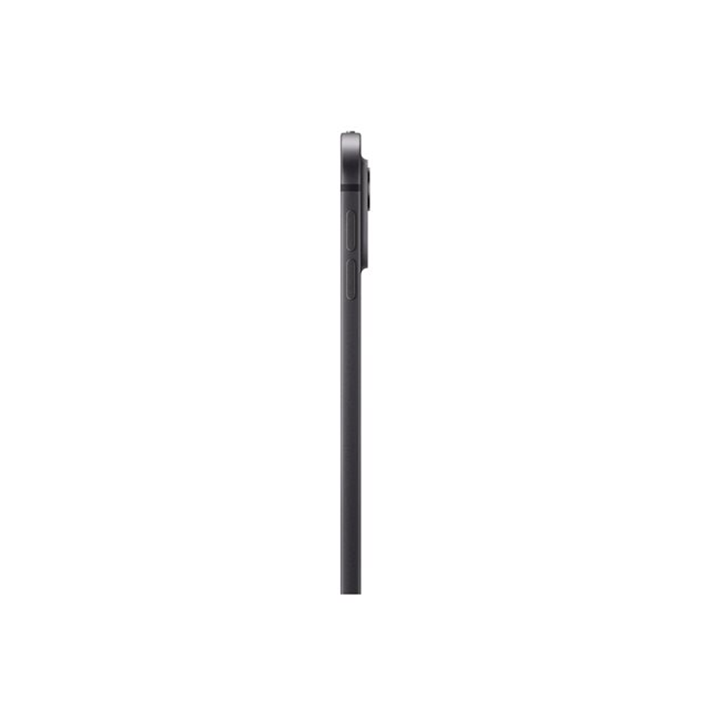 IPAD PRO 13 WF CL 1TB SP BLK-BNL