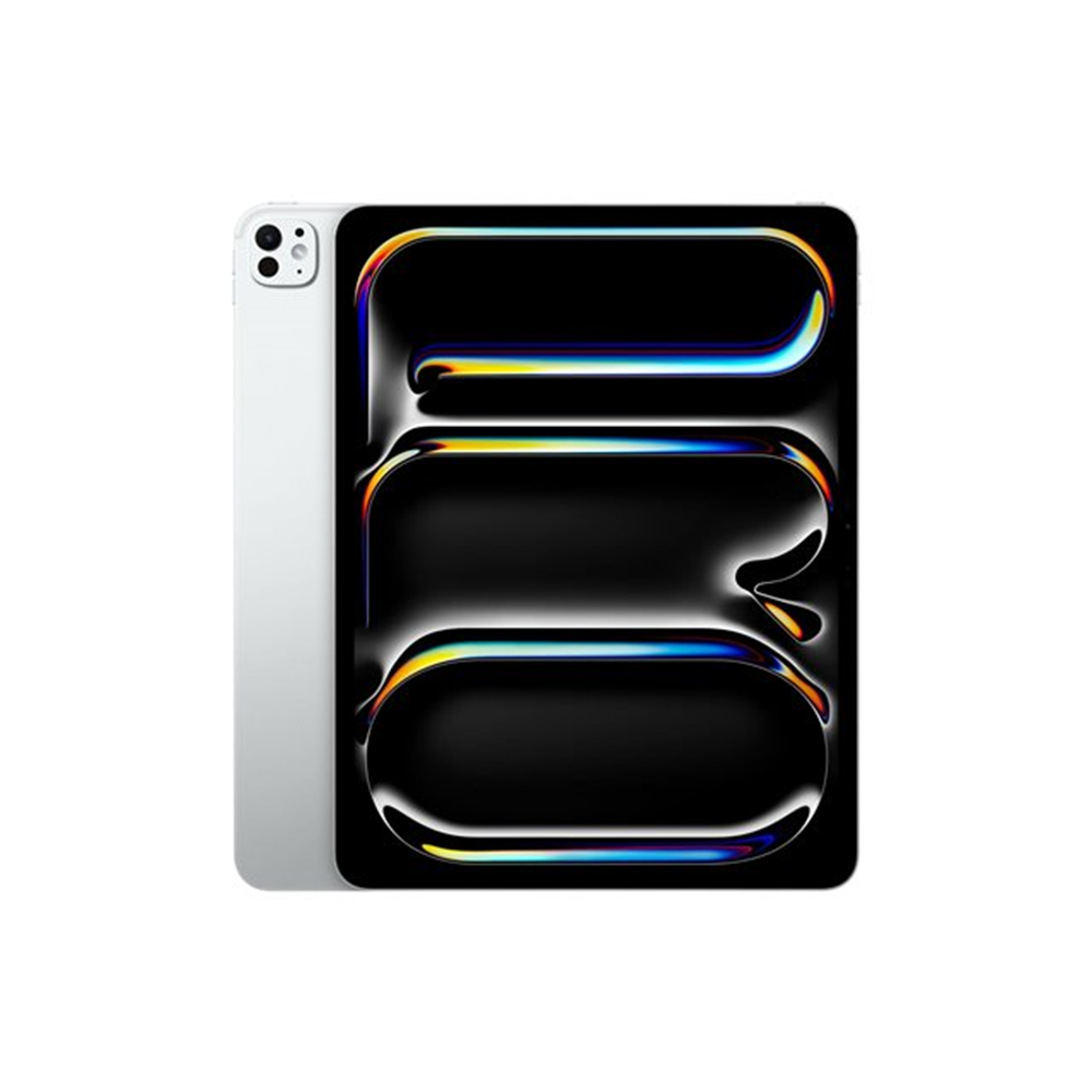 IPAD PRO 13 WF CL 256GB SILVER-BNL