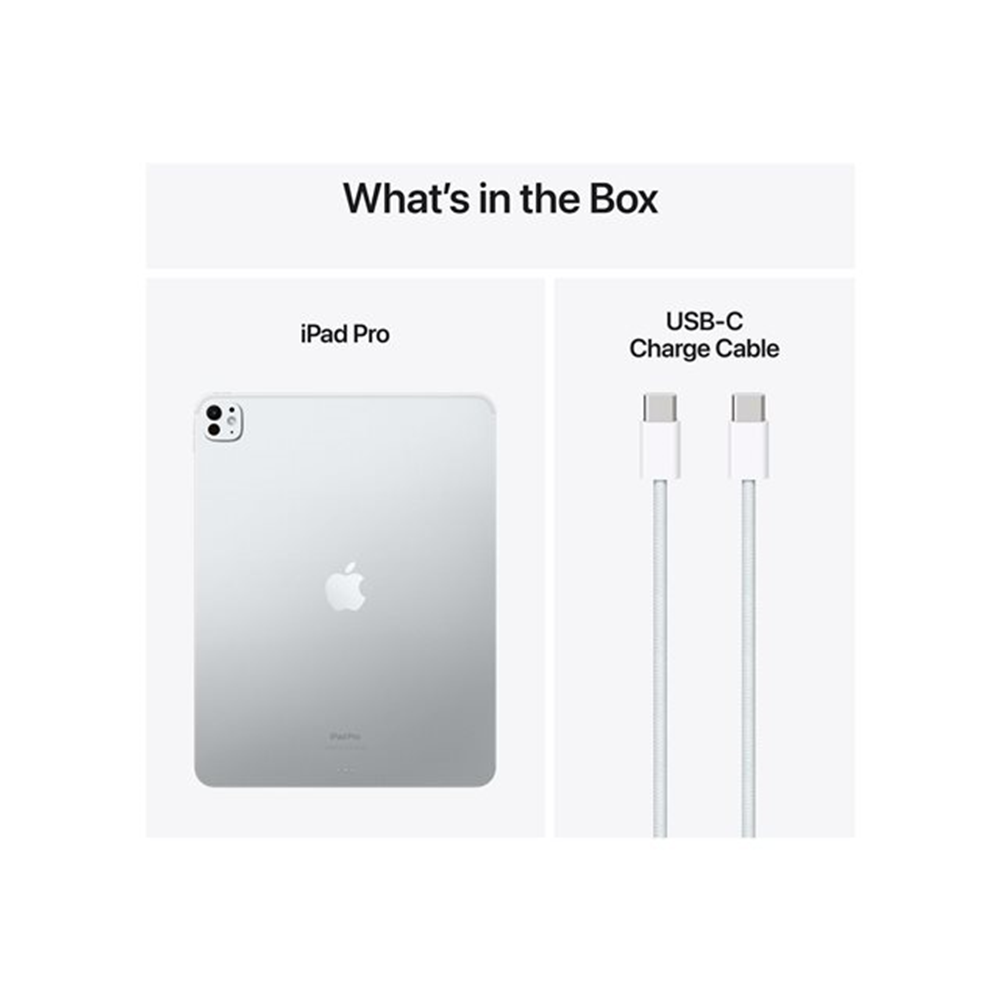 IPAD PRO 13 WF CL 256GB SILVER-BNL