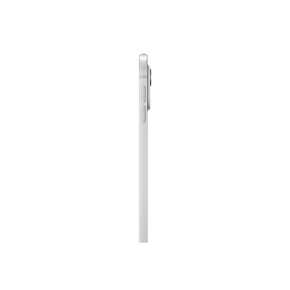 IPAD PRO 13 WF CL 256GB SILVER-BNL