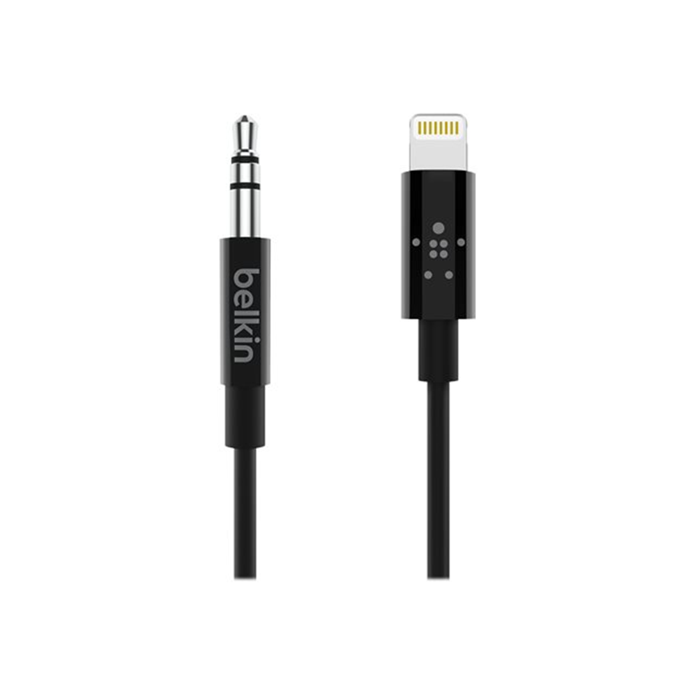 Lightning to 3.5 mm Audio Cable 3ft