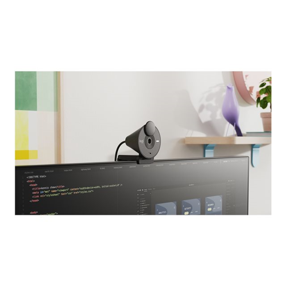 Logitech Brio 300FullHD webcam GRAPHITE