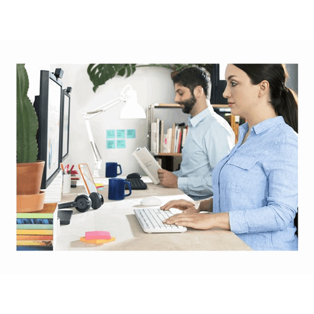 MK295 Silent Wireless Combo OFF WHITE US
