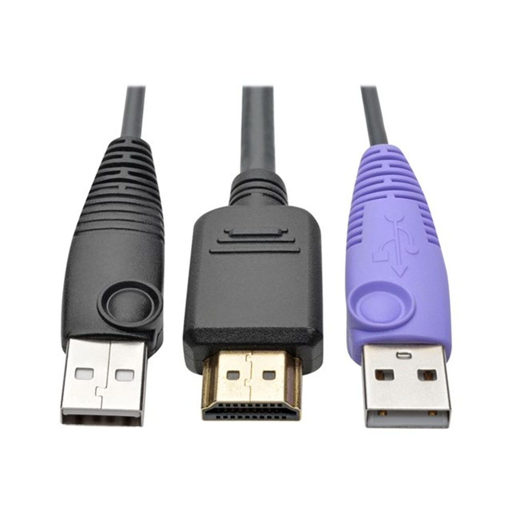 NetDirector HDMI USB Server Interface Unit with Virtual Media and CAC Support (B064-IPG Series) USB and HDMI