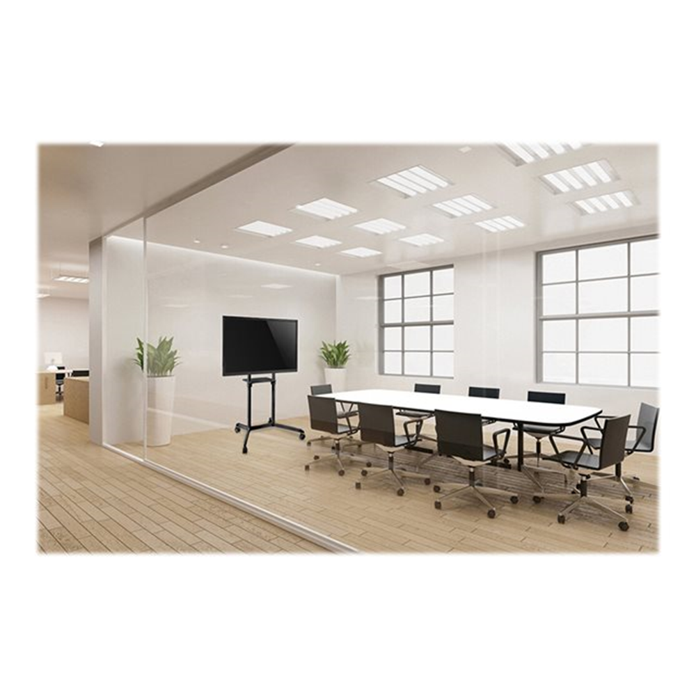 NewStar Mobile Flat Screen Floor Stand