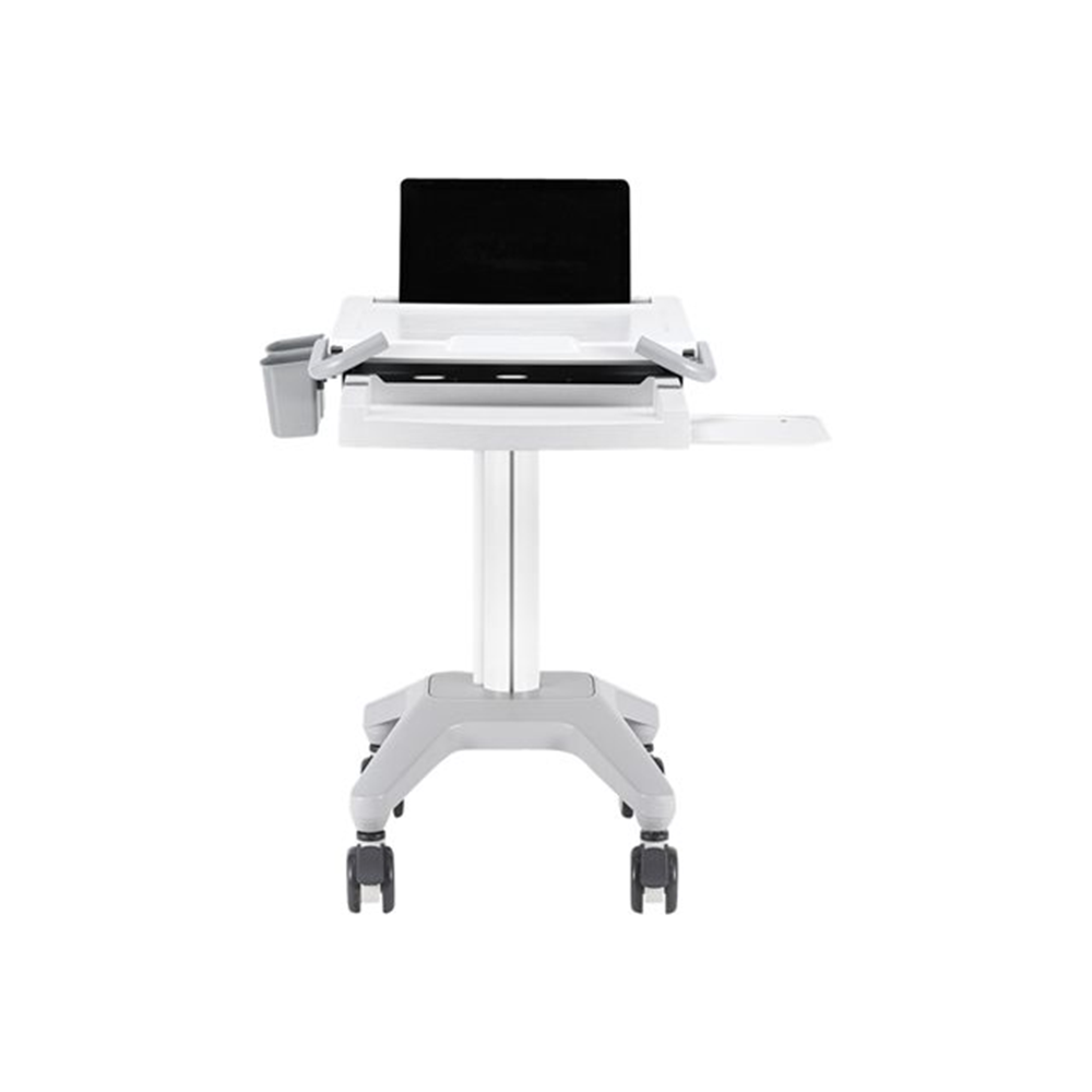 NewStar Mobile Laptop Cart 10-22"