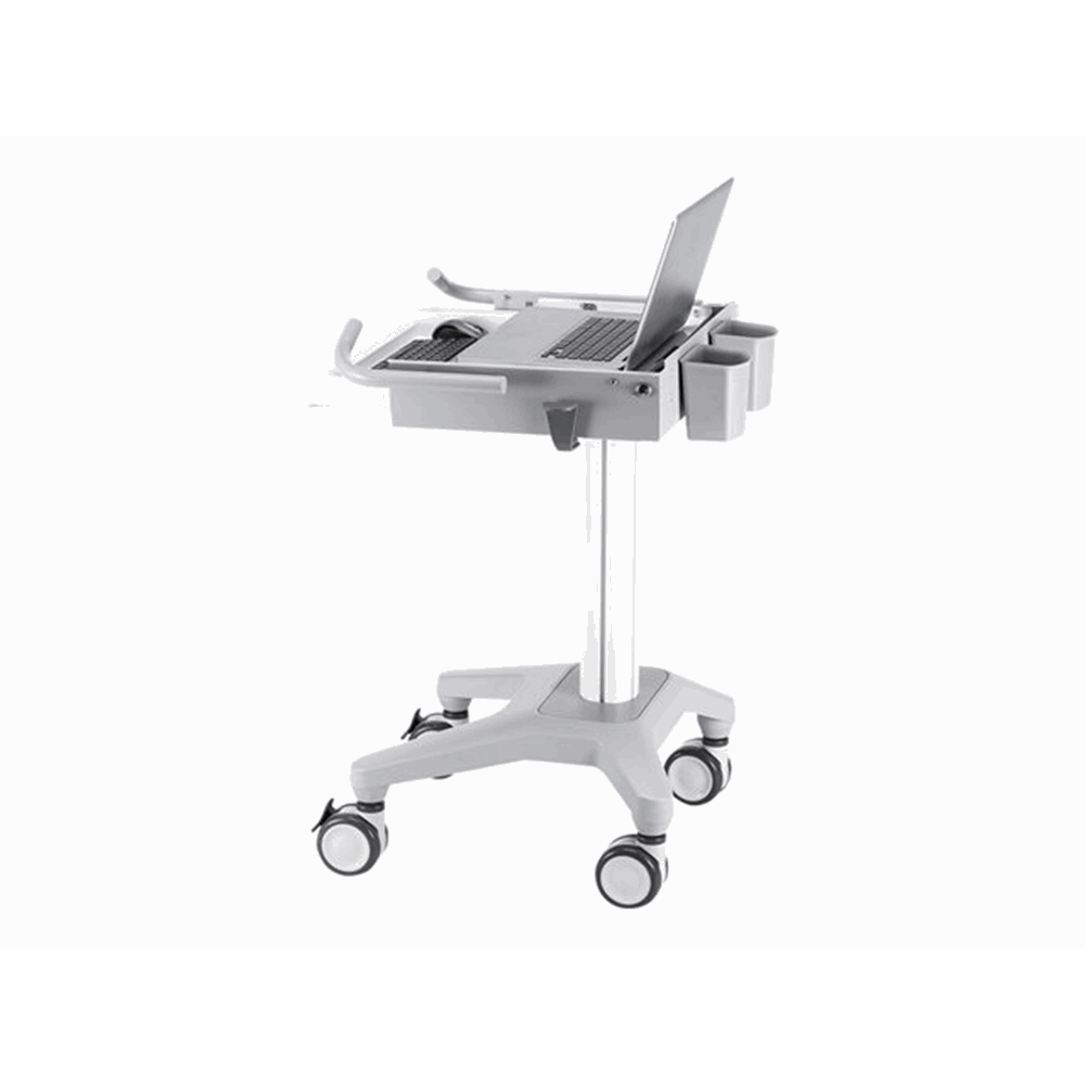 NewStar Mobile Laptop Cart 10-22"