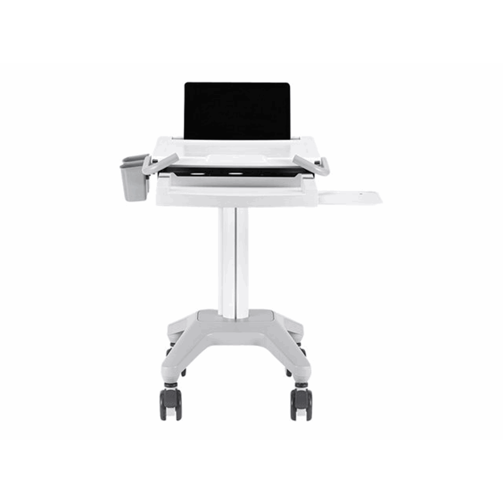 NewStar Mobile Laptop Cart 10-22"