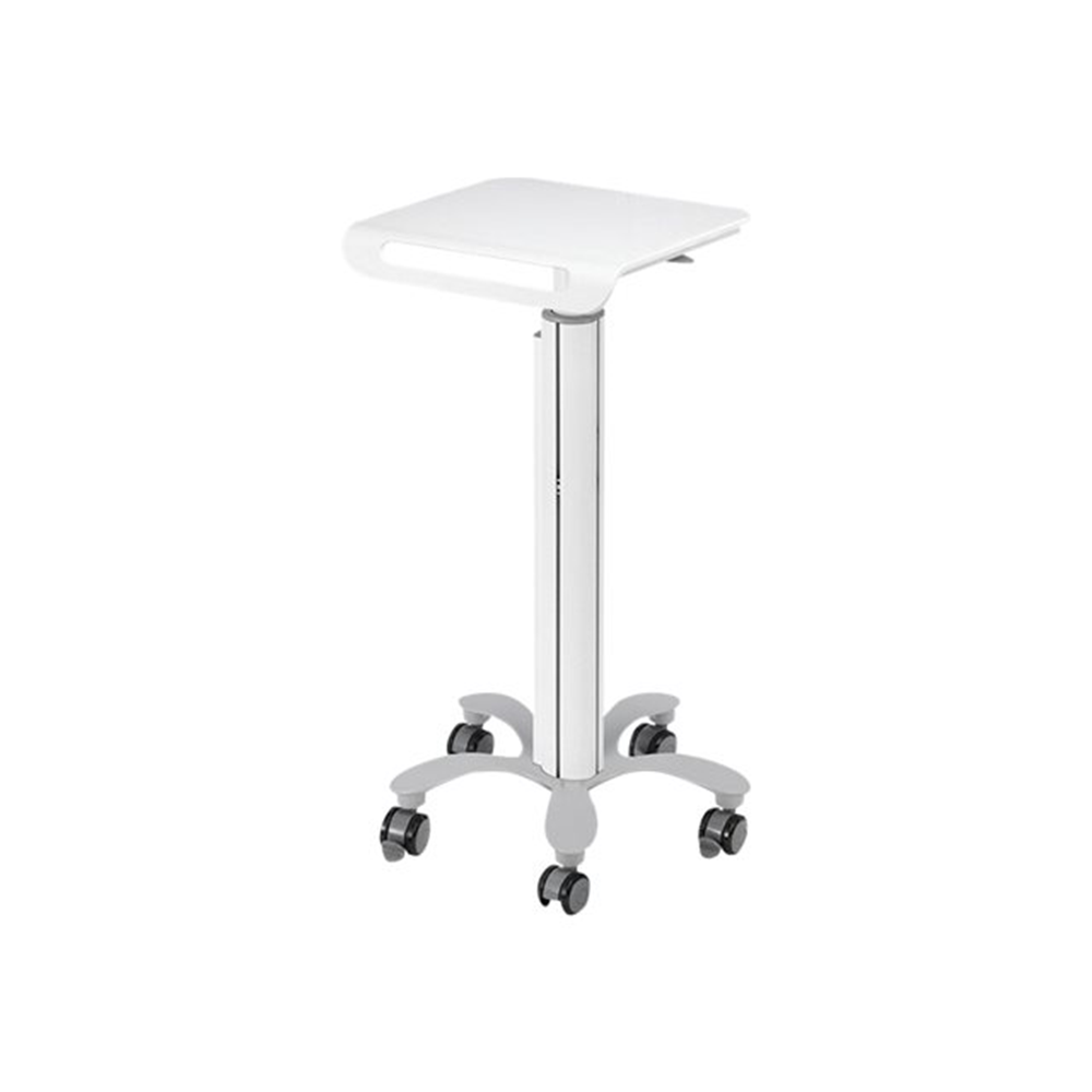 NewStar Mobile Laptop Cart 10-22"