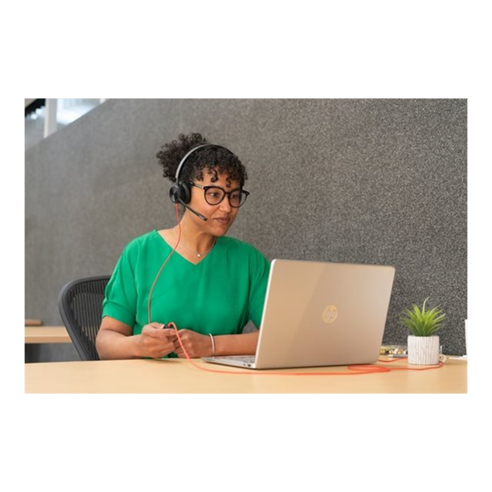 Poly BW 8225 Stereo -M USB-C HS +USB-C/A Poly BW 8225 Stereo -M USB-C HS +USB-C/A