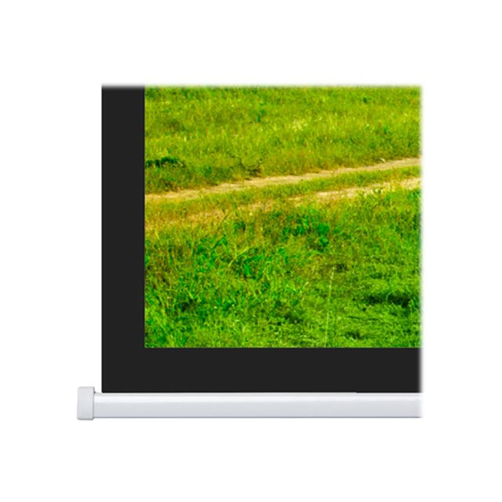 Projecta Elpro Concept RF 197x350 Matte