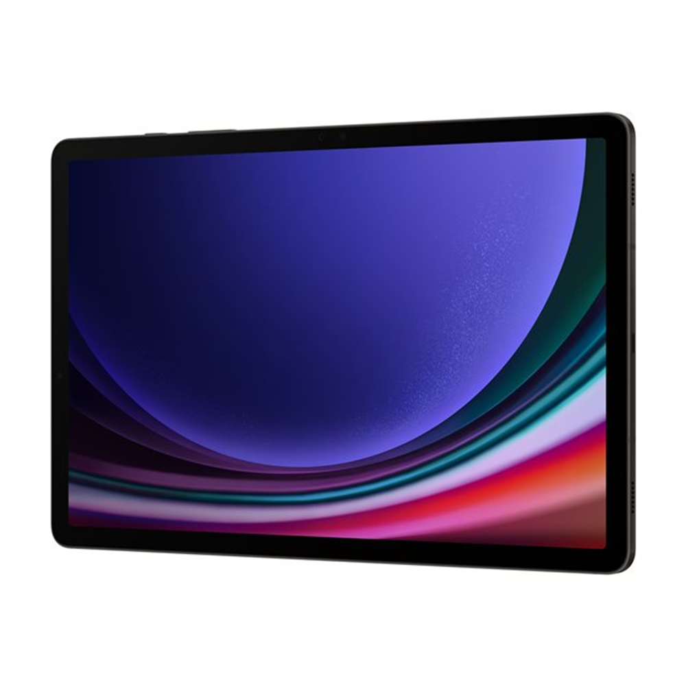Samsung Tab S9 11.0 WIFI 128GB Gray