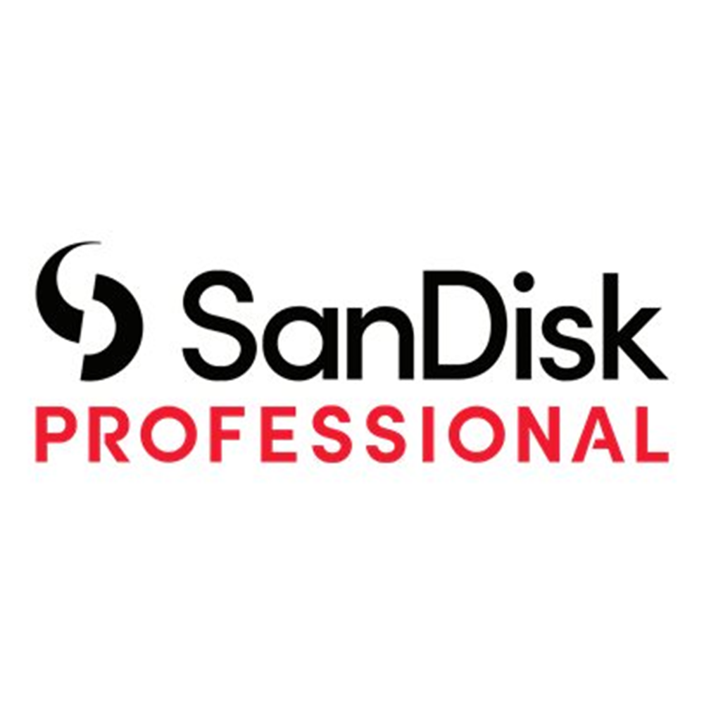 SanDisk Professional PRO-READER kaartlezer - USB-C 3.2 Gen 1