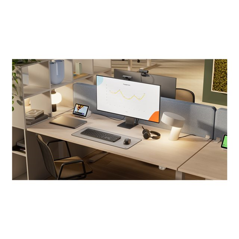 Slim Solar+ for Business GRAPHITE - US I