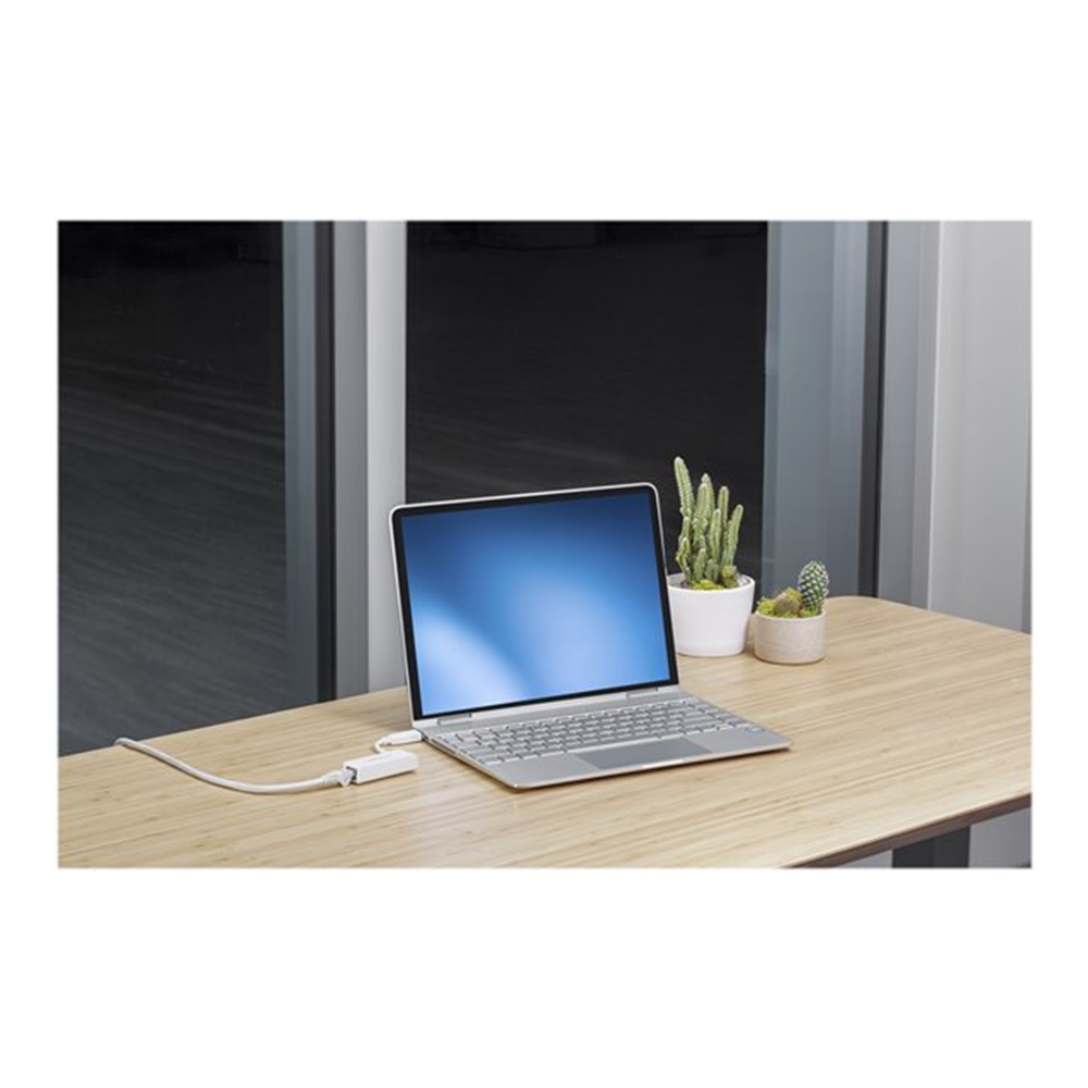 StarTech.com USB 3.0 naar Gigabit Ethernet Netwerkadapter