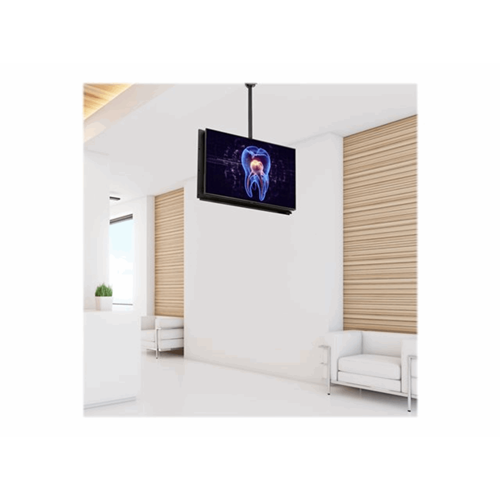 TV Mount - Ceiling - Dual Back to Back