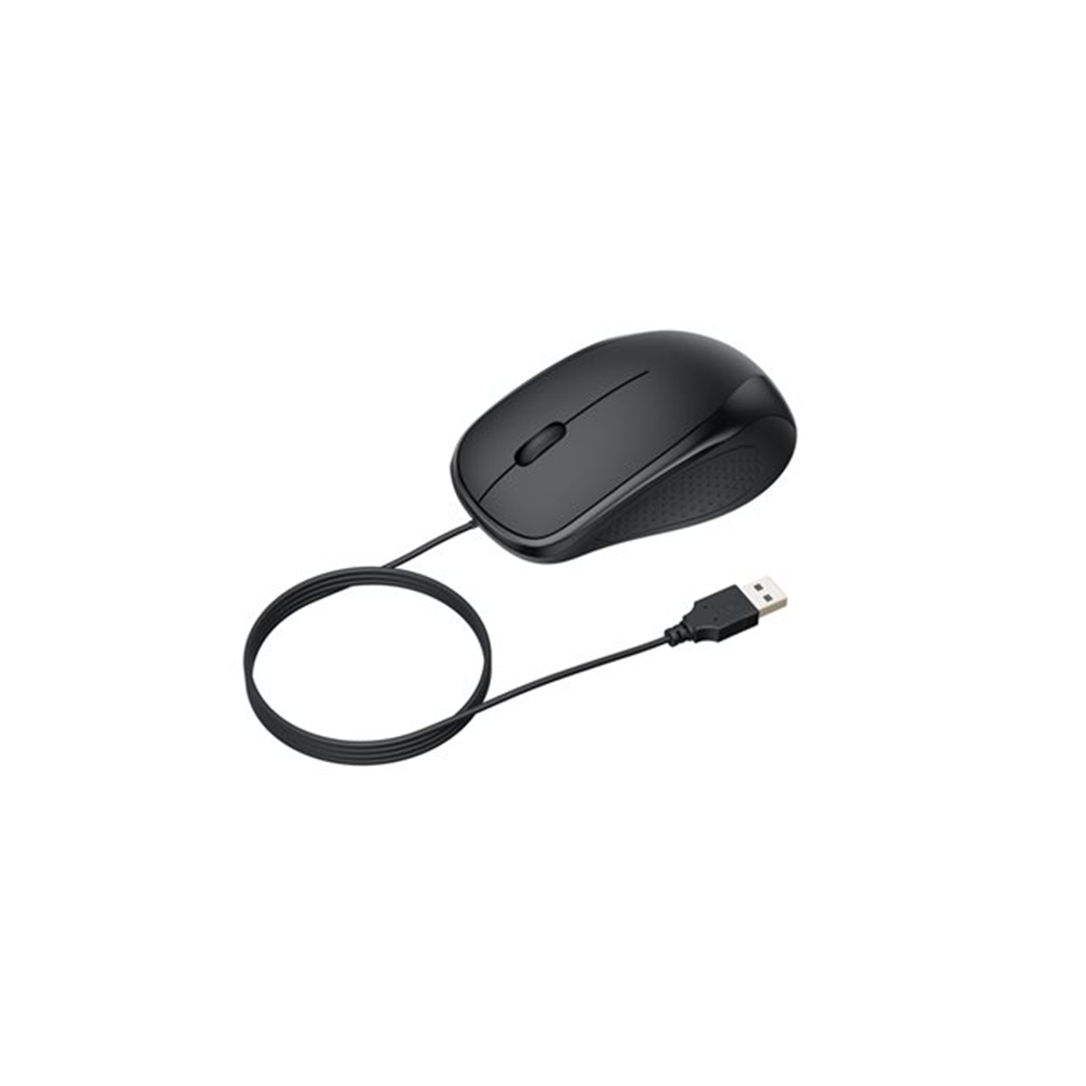 Wired Keyboard and Mouse US int