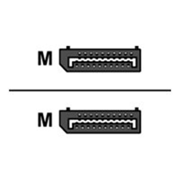 1 meter DisplayPort kabel/ male - male/power pin 20 aangesloten - PolyBag