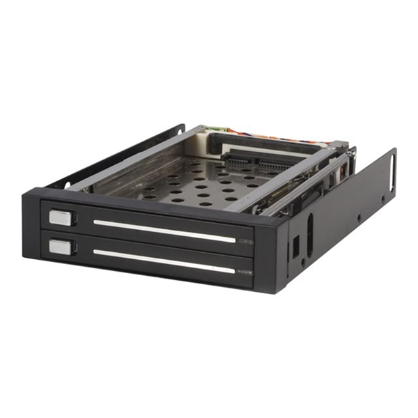2 Drive 2.5in Trayless SATA Mobile Rack