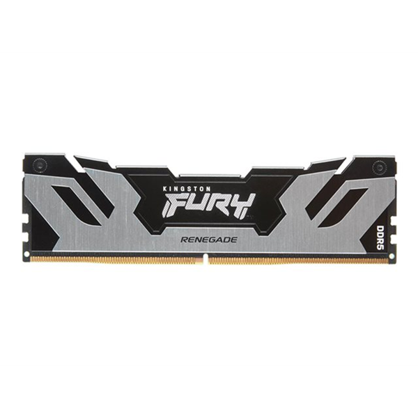 24GB DDR5-7200MT/s CL38 DIMM FURY Silver