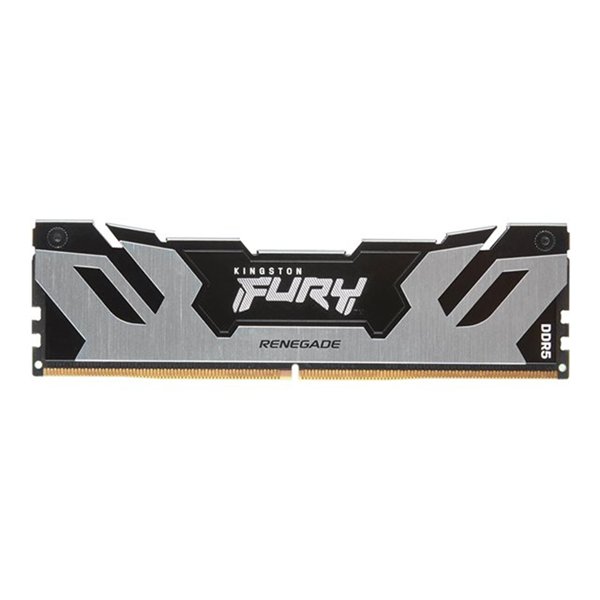 24GB DDR5 8000MT/s CL38 DIMM FURY Renega