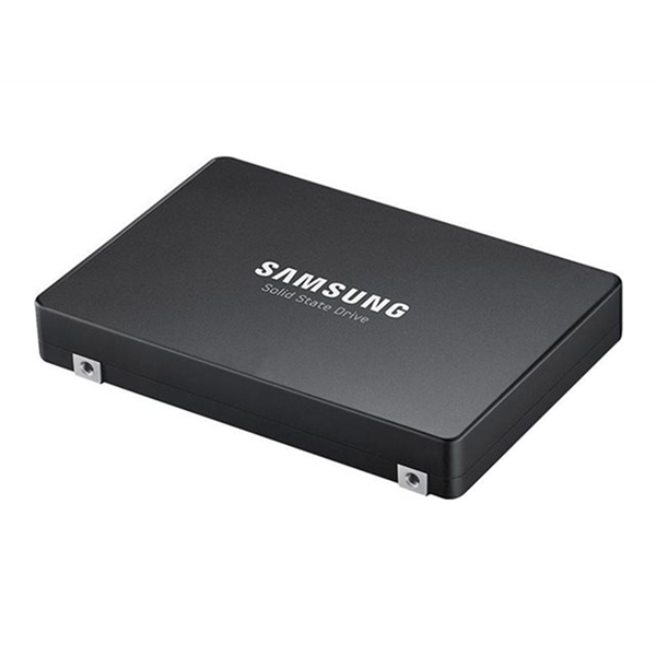 2.5" PM1743 3.84TB RI NVMe HS