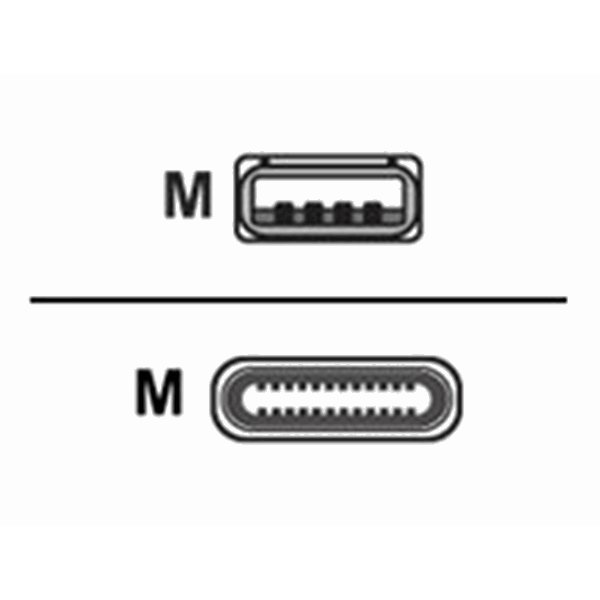 2m USB 3 Type Angled C to A