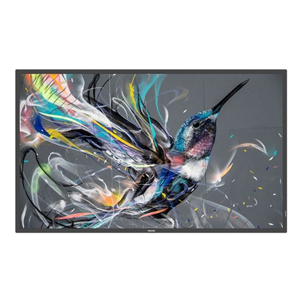 50" Direct LED 4K Display powered by An