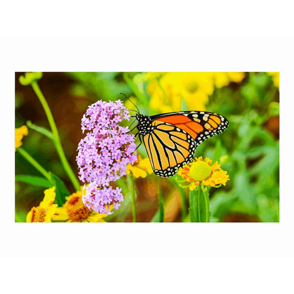 55i UN-Series LFD for videowalls - 700cd/m2 - Direct LED backlight - 24/7 proof- OPS Slot - CM Slot 55i UN-Series LFD for videowalls - 700cd/m2 - Direct LED backlight - 24/7 proof- OPS Slot - CM Slot