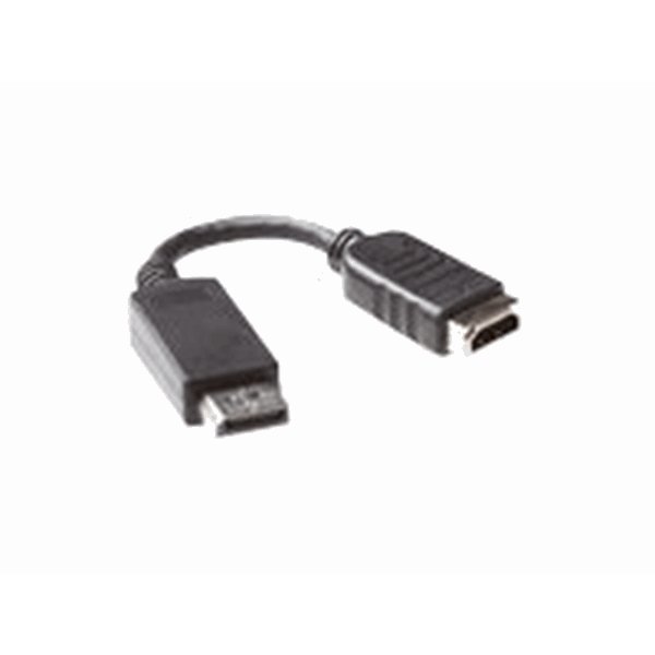 ACT 15 cm Verloop kabel DisplayPort male