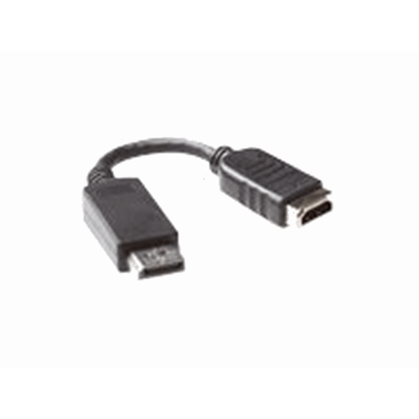 ACT 15 cm Verloop kabel DisplayPort male