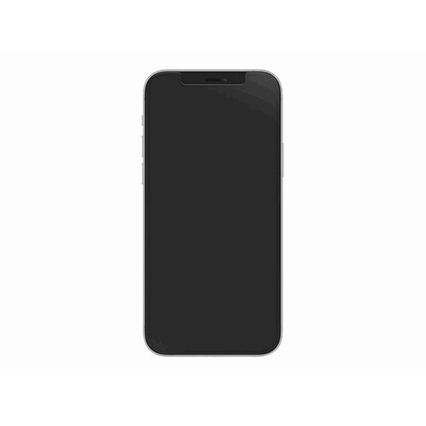 Alpha Glass iP 12/12 Pro clear ProPack