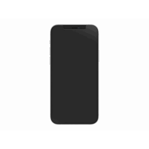 Alpha Glass iP 12/12 Pro clear ProPack