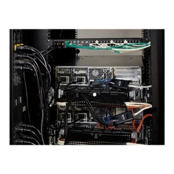APC KVM 2G SERVER MODULE DVI