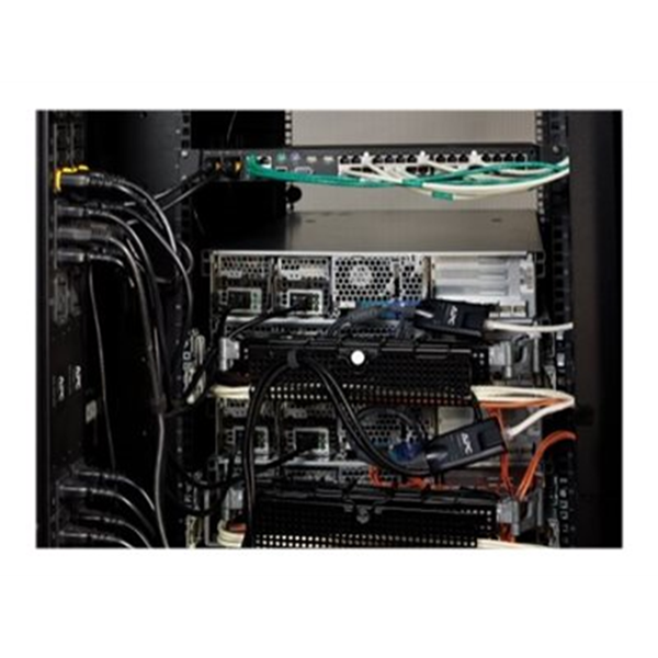APC KVM 2G SERVER MODULE DVI