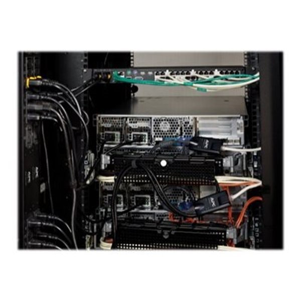 APC KVM 2G Server Module PS/2