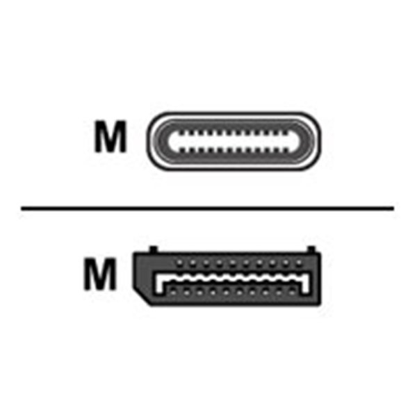 Avocent SwitchView 3M (10ft) USB-C (PC)