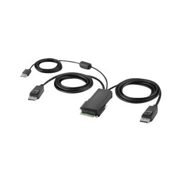 Belkin Modular DP Dual Head Host Cable 6