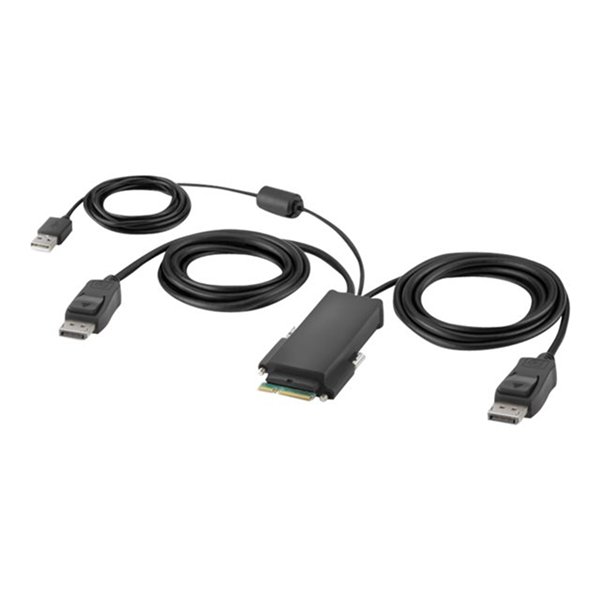 Belkin Modular DP Dual Head Host Cable 6