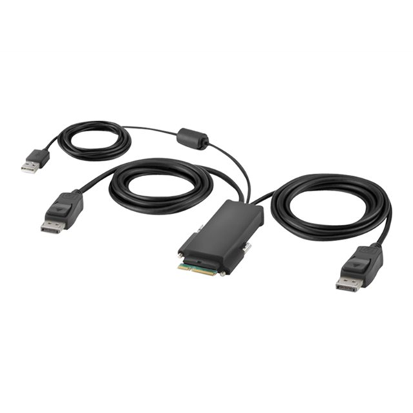 Belkin Modular DP Dual Head Host Cable 6