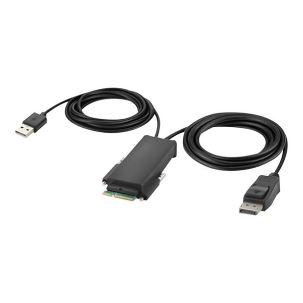 Belkin Modular DP Single Head Host Cable