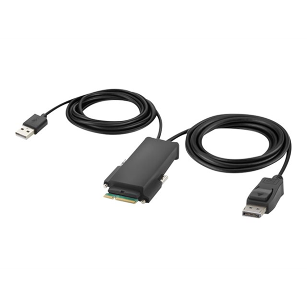 Belkin Modular DP Single Head Host Cable
