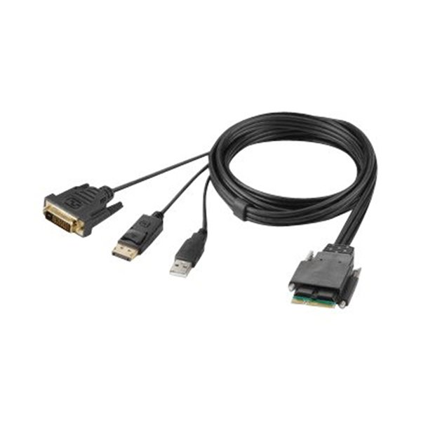 Belkin Modular DVI and DP Dual Head Host