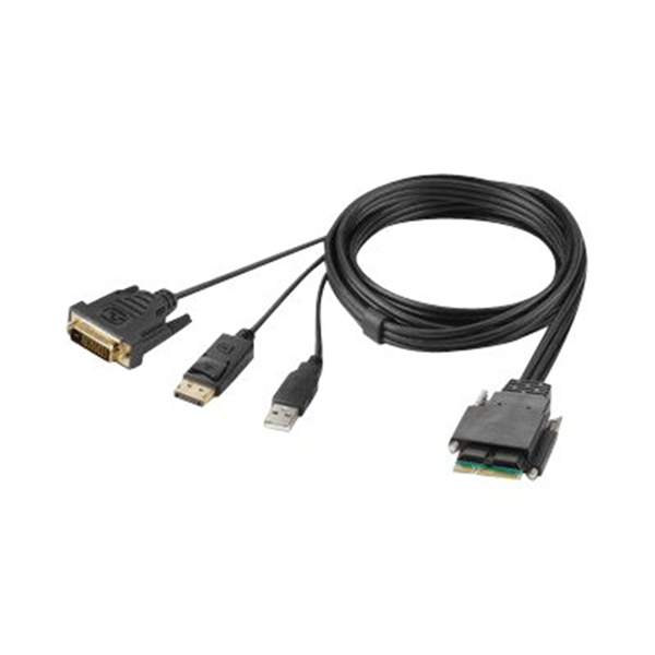 Belkin Modular DVI and DP Dual Head Host