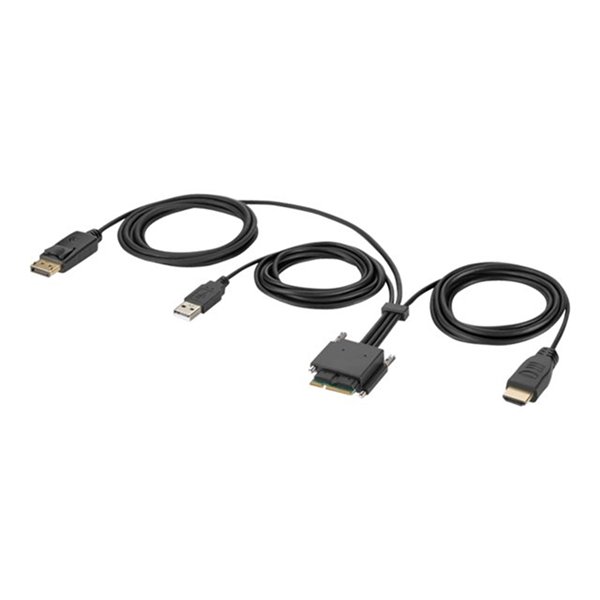 Belkin Modular HDMI and DP Dual Head Hos