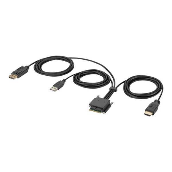 Belkin Modular HDMI and DP Dual Head Hos