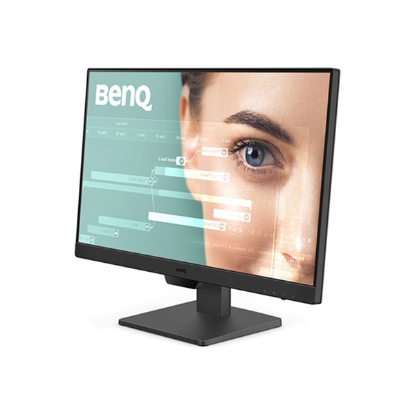 BenQ GW2490
